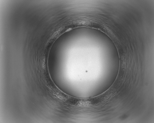 X0000056360403200509161833