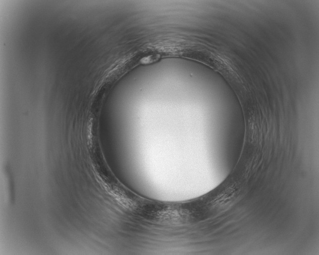 X0000056360404200509161833