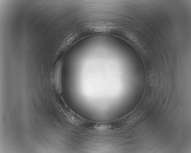 X0000056360407200509161833