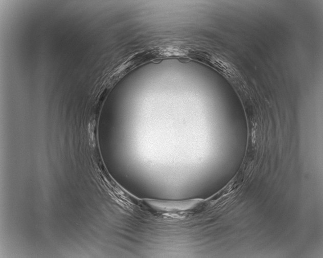 X0000056360409200509161833