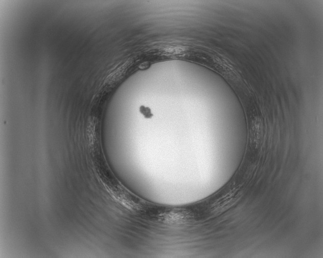 X0000056360412200509161833