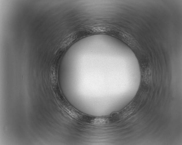 X0000056360418200509161833