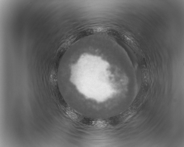 X0000056360419200509161833