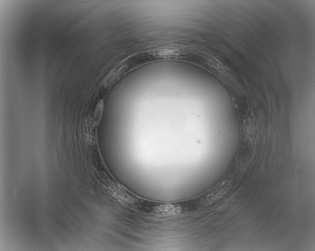 X0000056360421200509161833