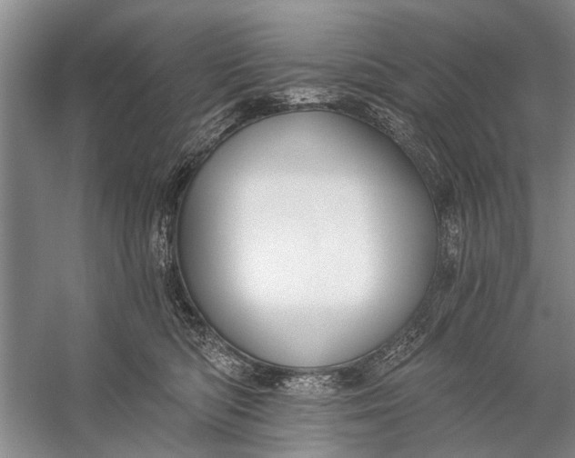 X0000056360422200509161833