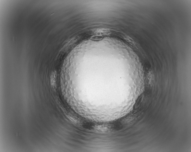 X0000056360423200509161833