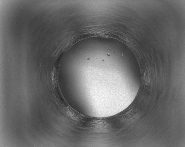 X0000056360424200509161833