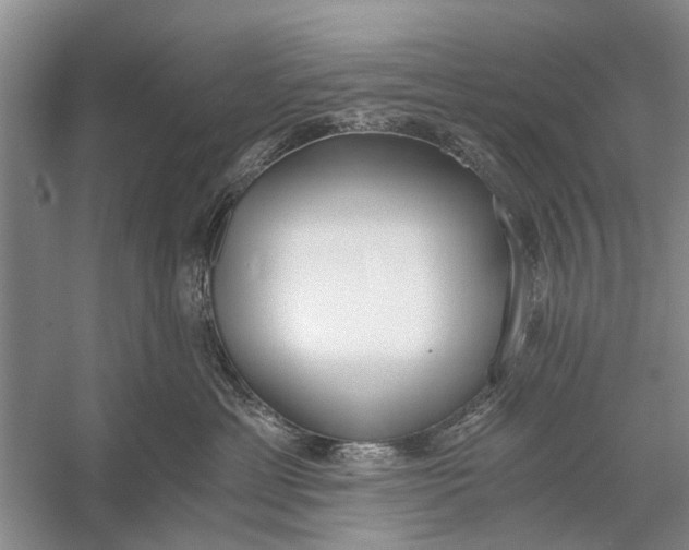 X0000056360429200509161833