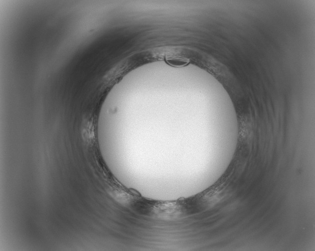 X0000056360431200509161833