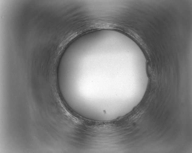 X0000056360433200509161832