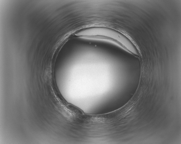 X0000056360437200509161832