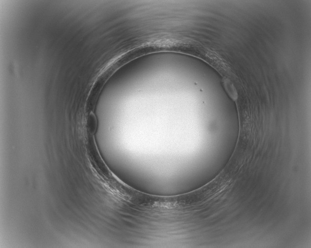 X0000056360440200509161832