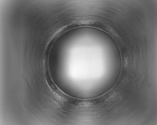 X0000056360444200509161832