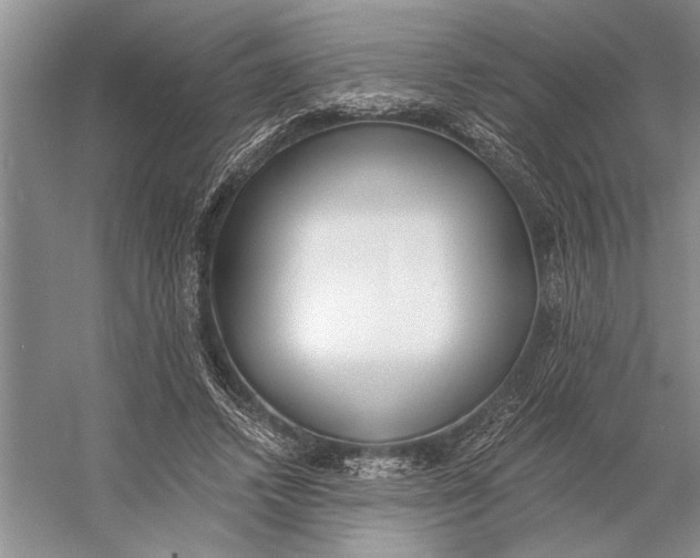 X0000056360448200509161832