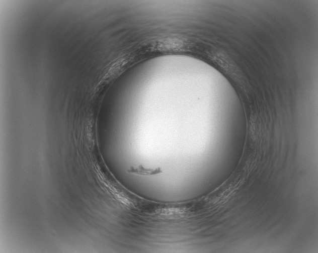 X0000056360449200509161832