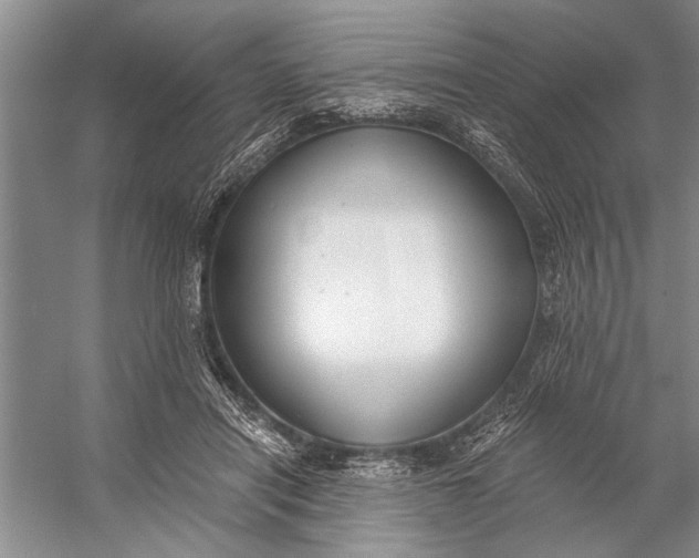 X0000056360454200509161832