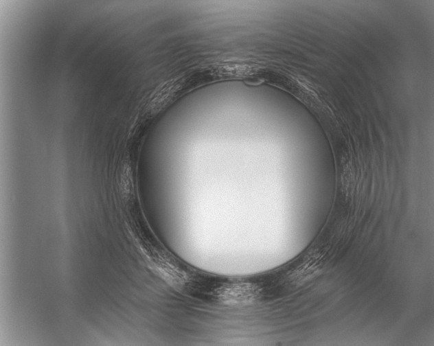 X0000056360459200509161833