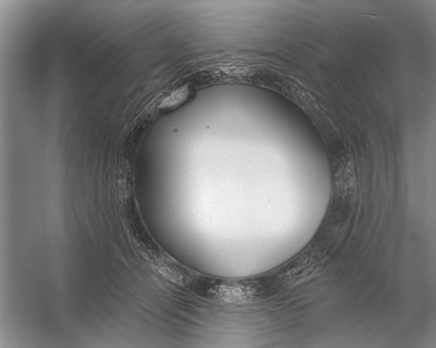 X0000056360464200509161833