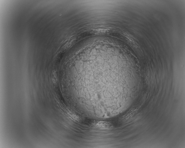 X0000056360467200509161833