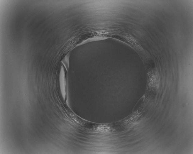 X0000056360471200509161833