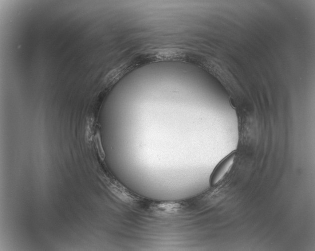 X0000056360478200509161833