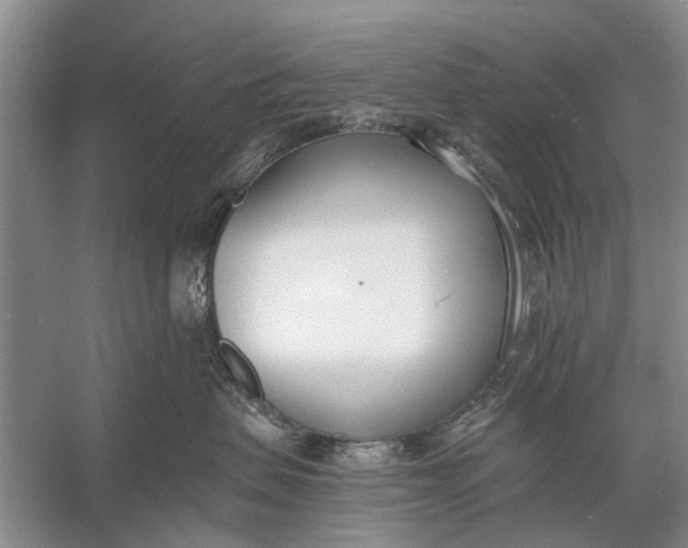 X0000056360479200509161833