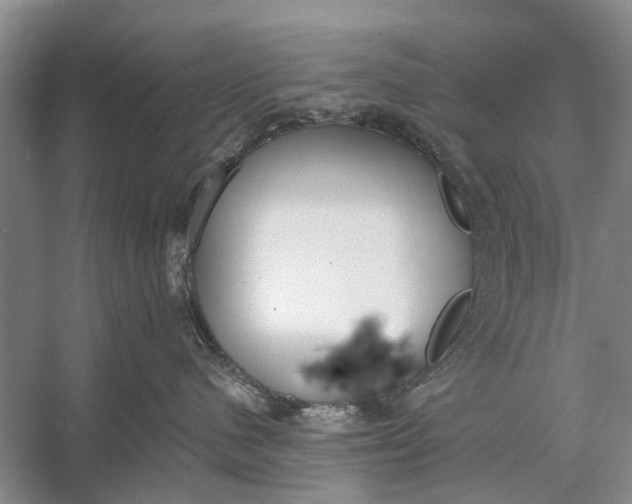 X0000056360480200509161833