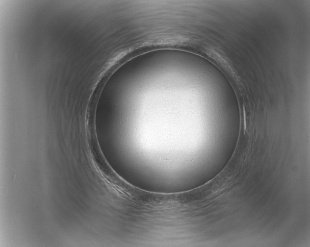 X0000056360483200509161832