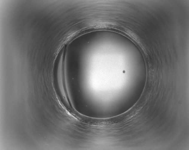 X0000056360485200509161832