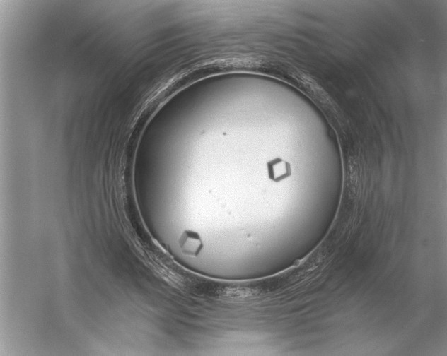 X0000056360487200509161832