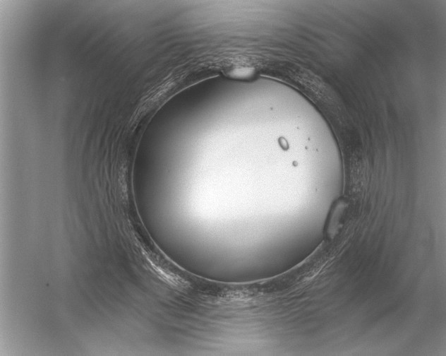 X0000056360489200509161832