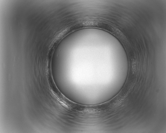 X0000056360490200509161832