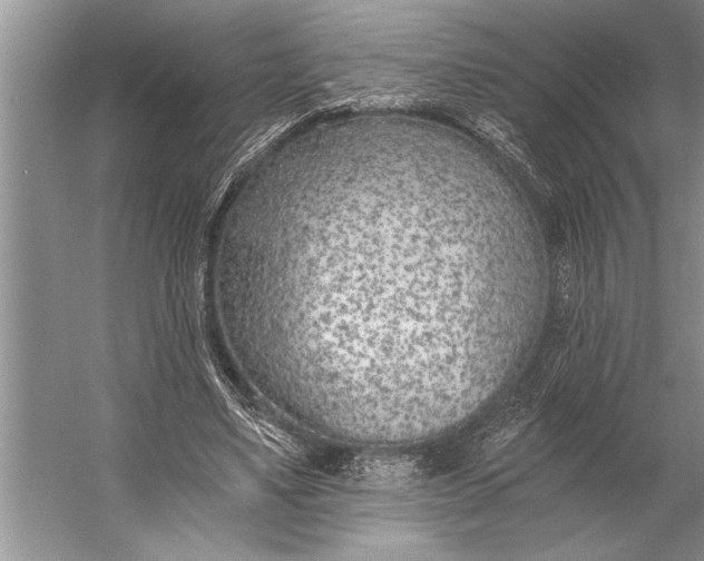 X0000056360491200509161832