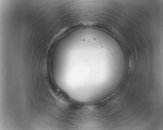 X0000056360492200509161832