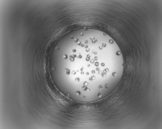 X0000056360494200509161832