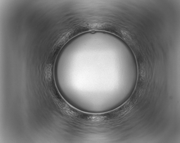 X0000056360495200509161832