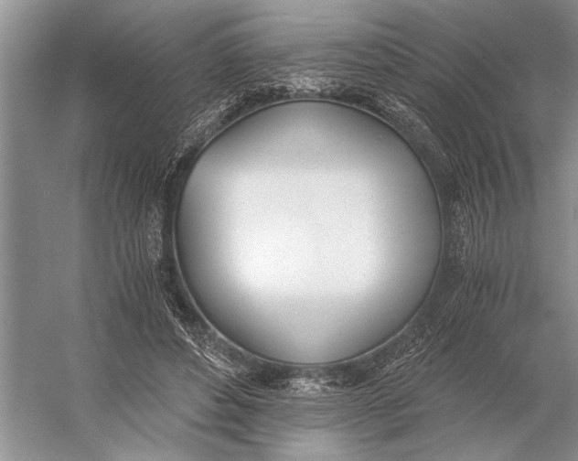 X0000056360496200509161832