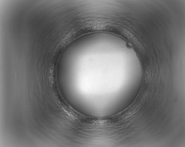 X0000056360497200509161832