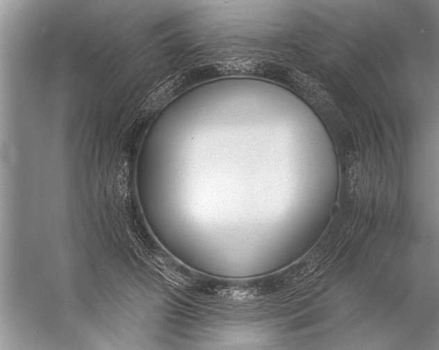 X0000056360498200509161832