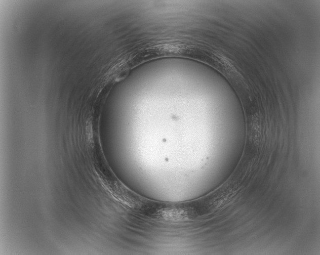 X0000056360500200509161832