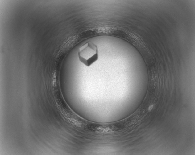 X0000056360502200509161832