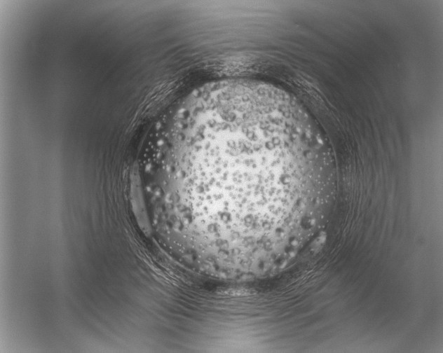 X0000056360503200509161832