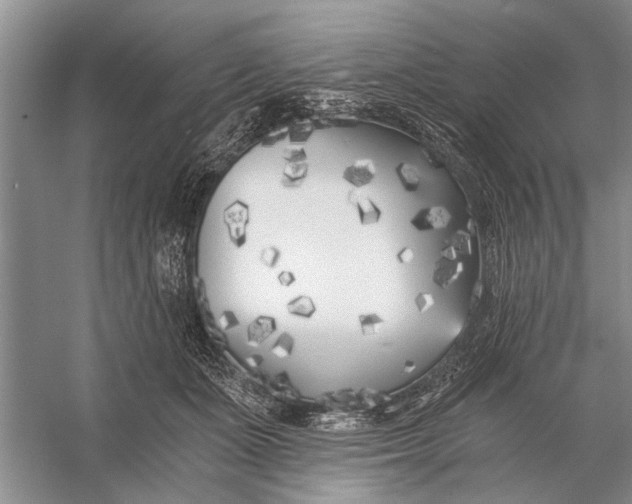 X0000056360511200509161832