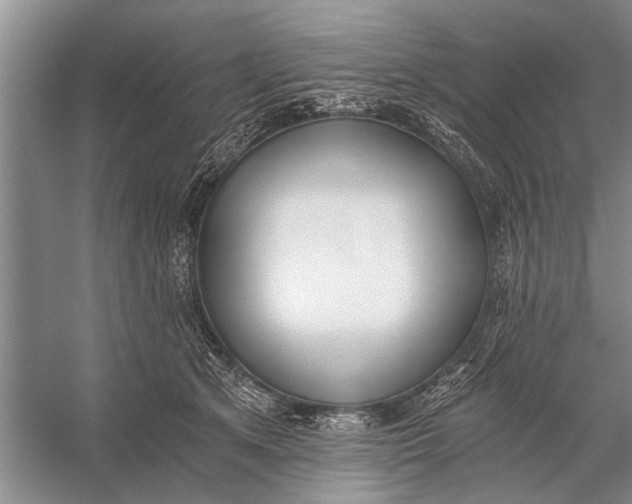 X0000056360513200509161832