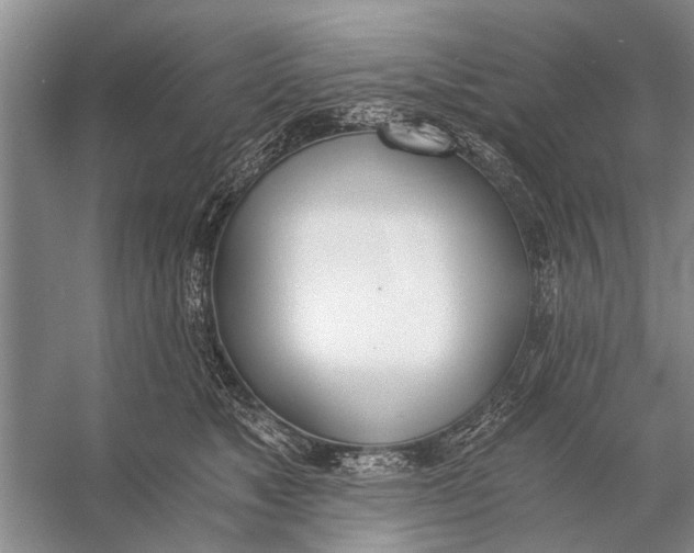 X0000056360517200509161831