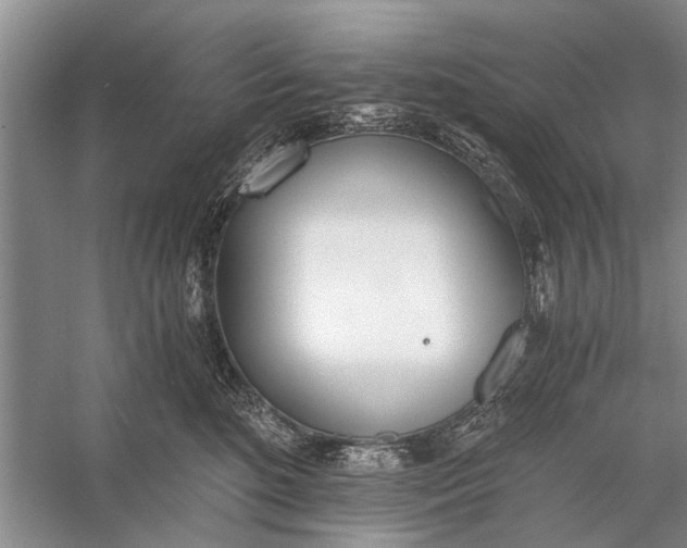 X0000056360520200509161831