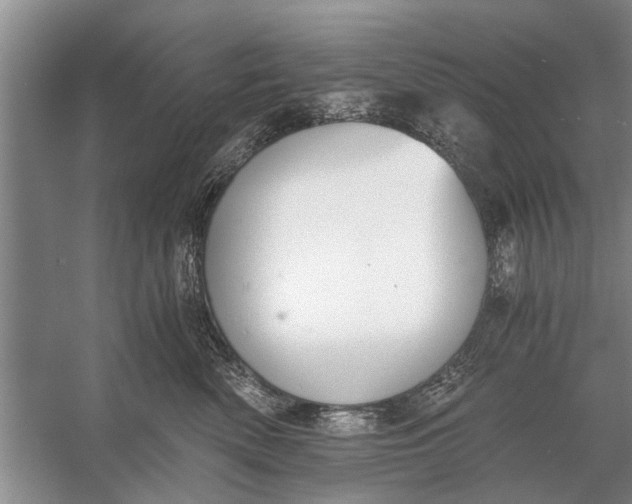 X0000056360522200509161831