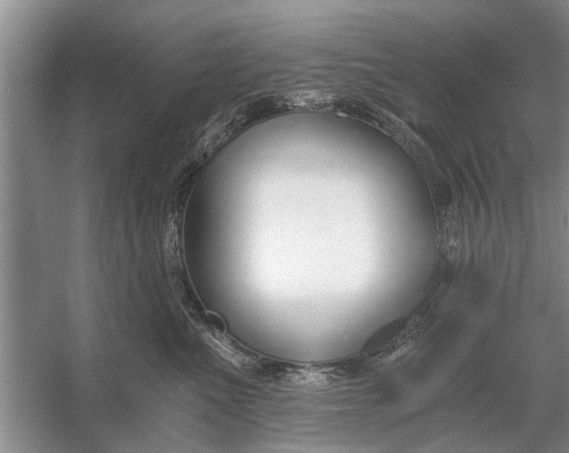 X0000056360523200509161831