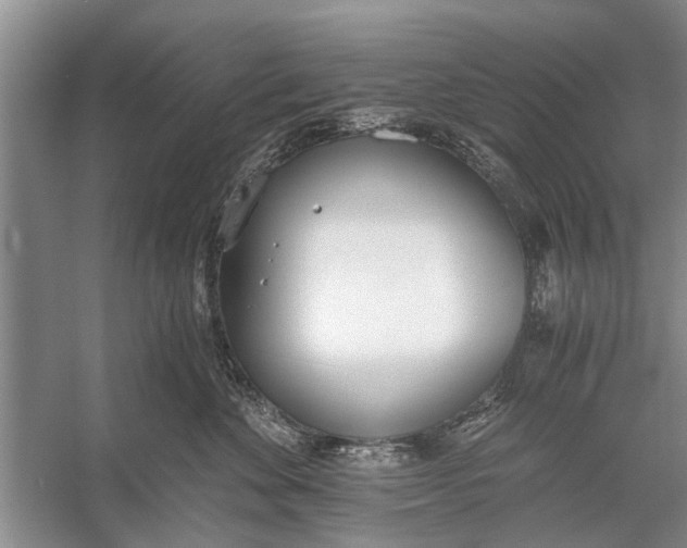 X0000056360524200509161831