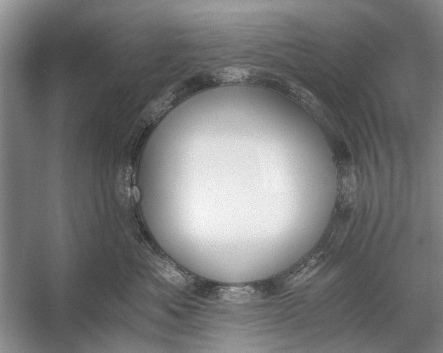 X0000056360525200509161831